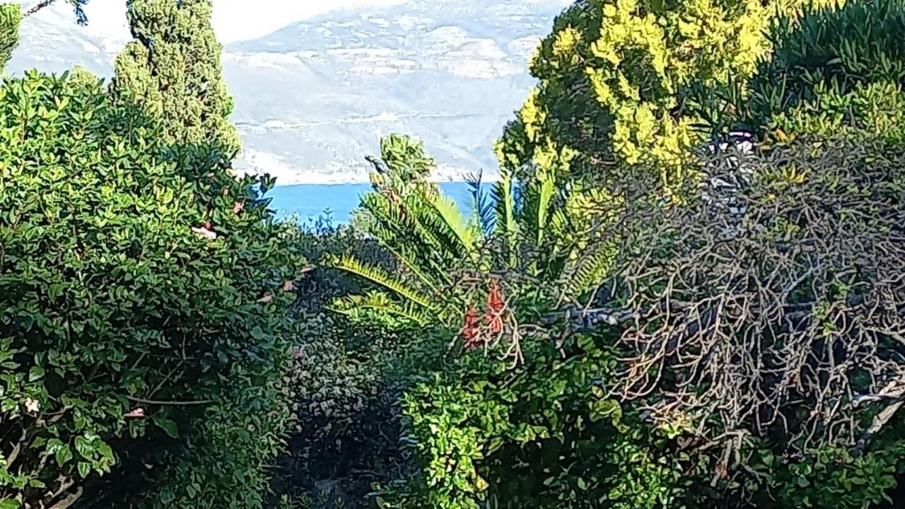 Apartment Mount Rhodes Manor Cape Town