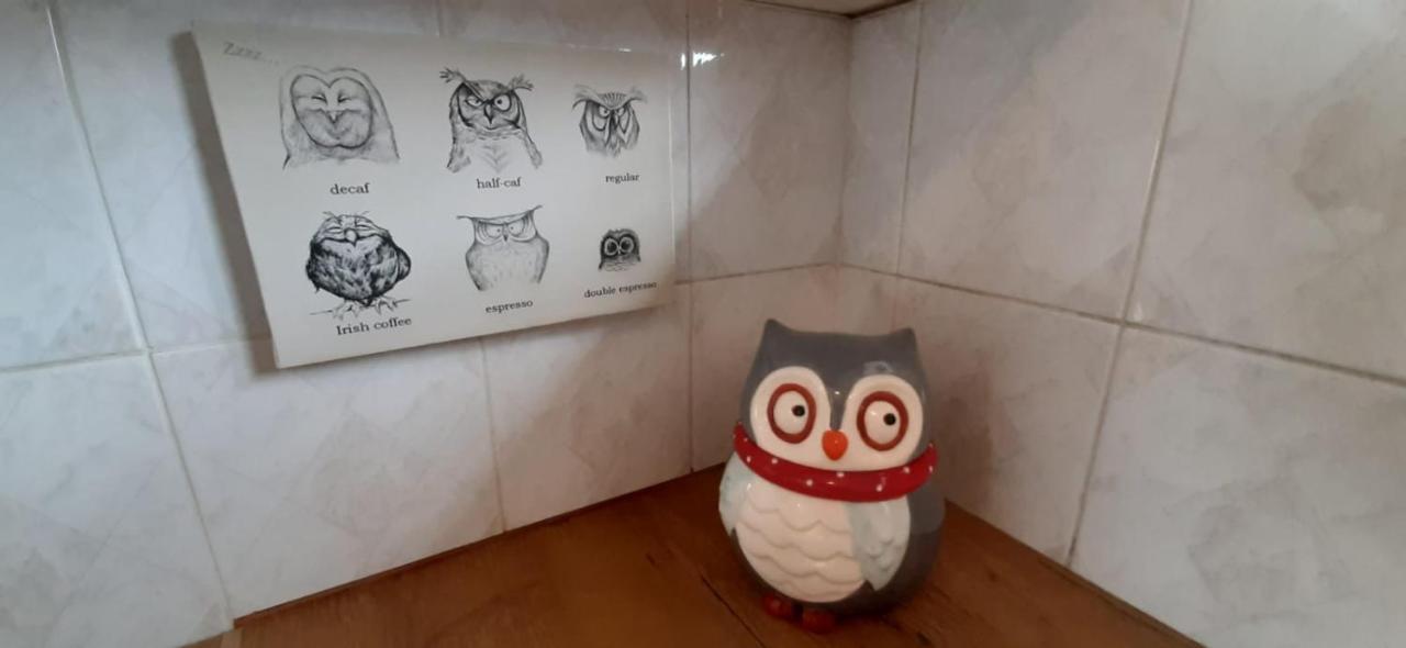 The Spotted Owl Apartamento Cidade Do Cabo
