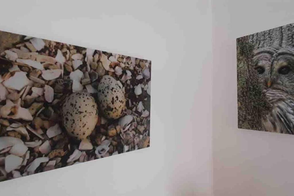 The Spotted Owl Apartamento Cidade Do Cabo