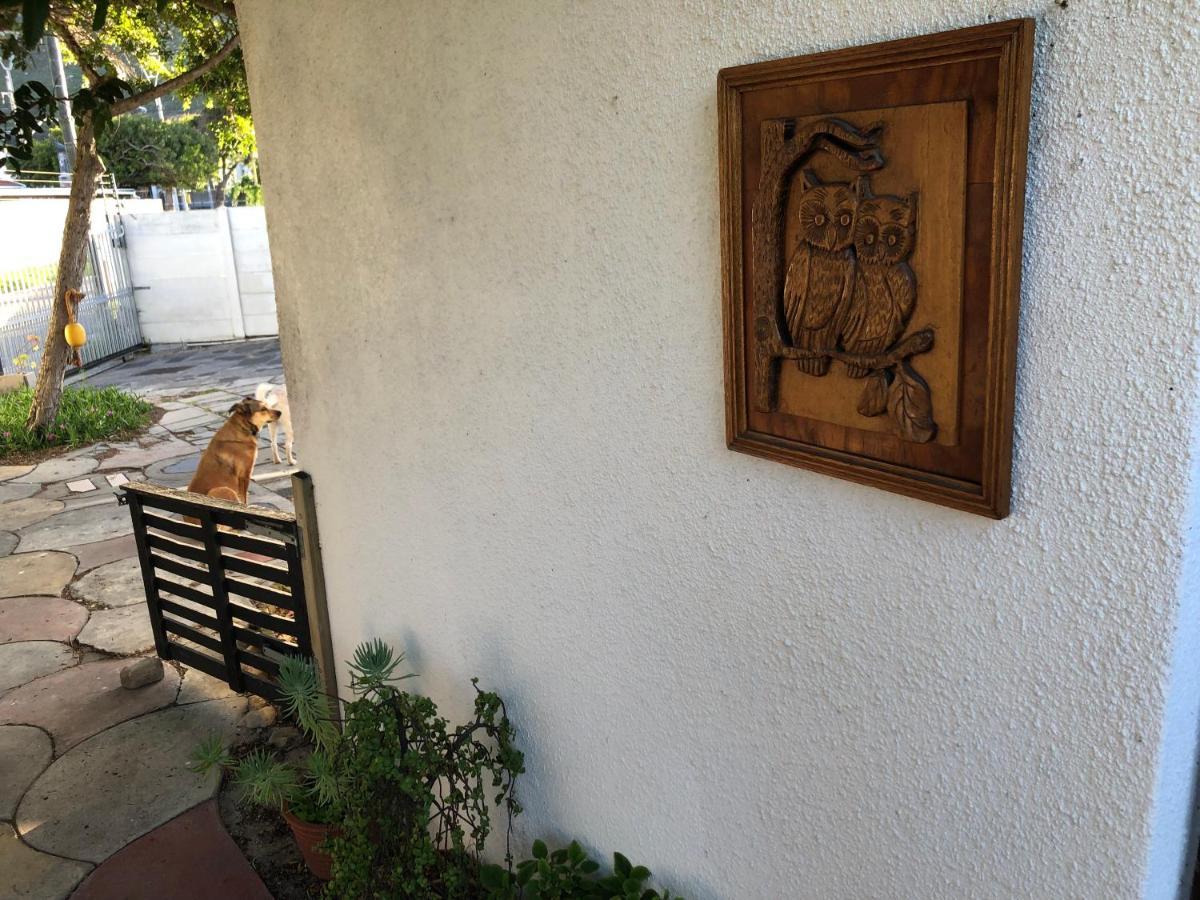 The Spotted Owl Cidade Do Cabo