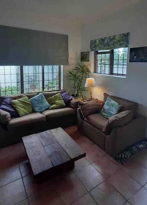 The Spotted Owl Apartamento