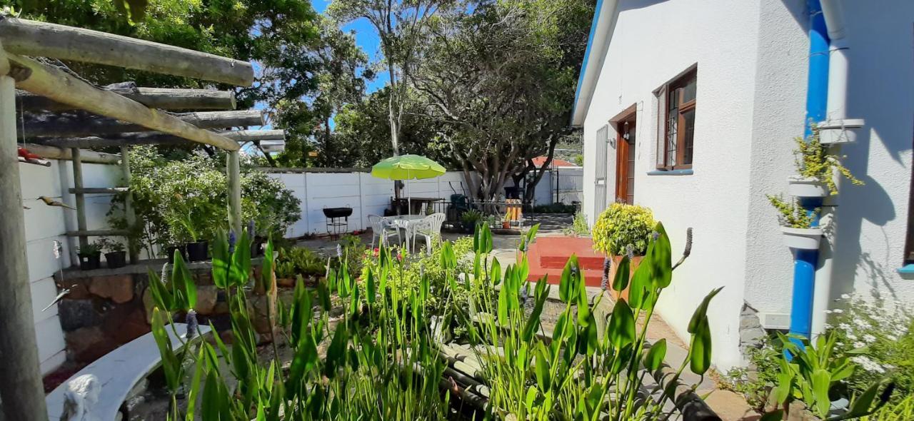 Apartamento The Spotted Owl Cidade Do Cabo