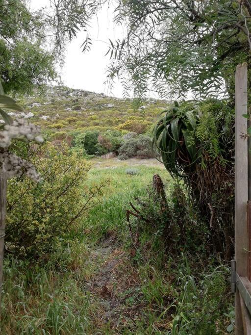 Holiday home Serene Hide-away With Ocean Views. Cape Town