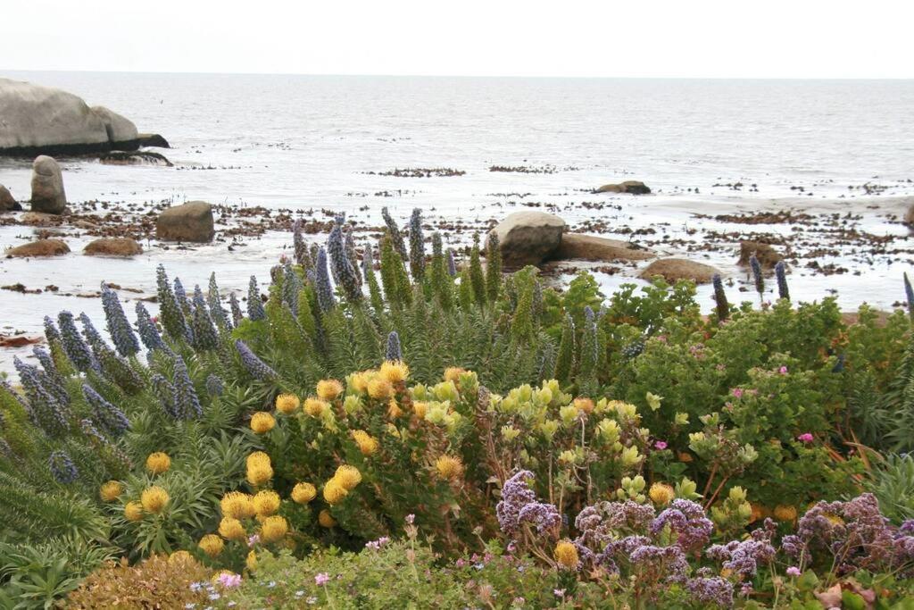 Apartamento Panoramic Sea Views - Loft *
