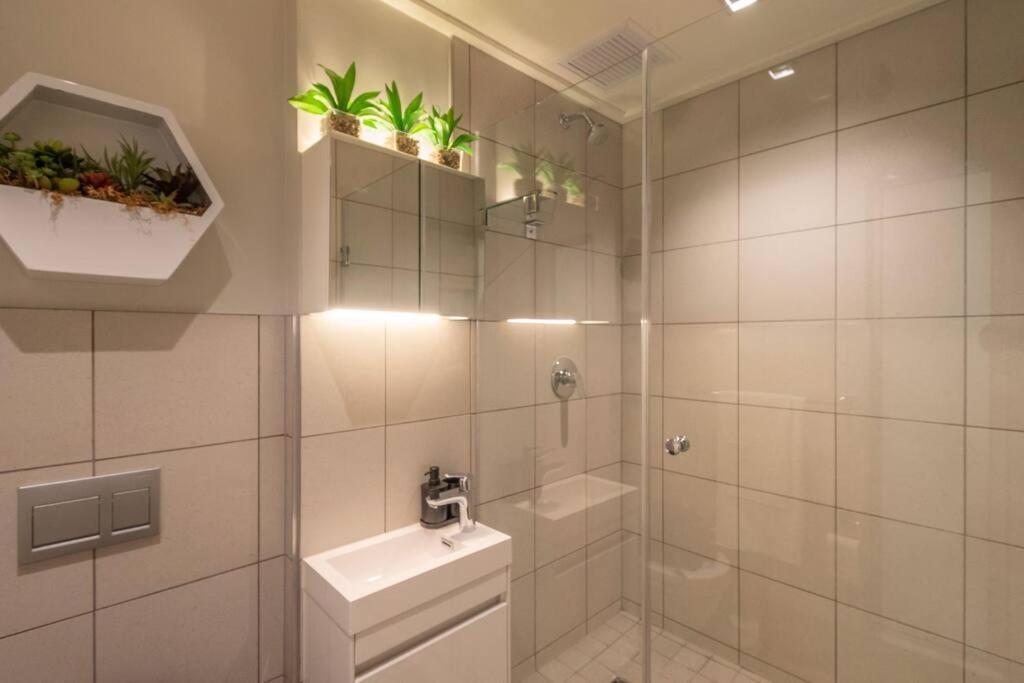 Apartment Vibrant