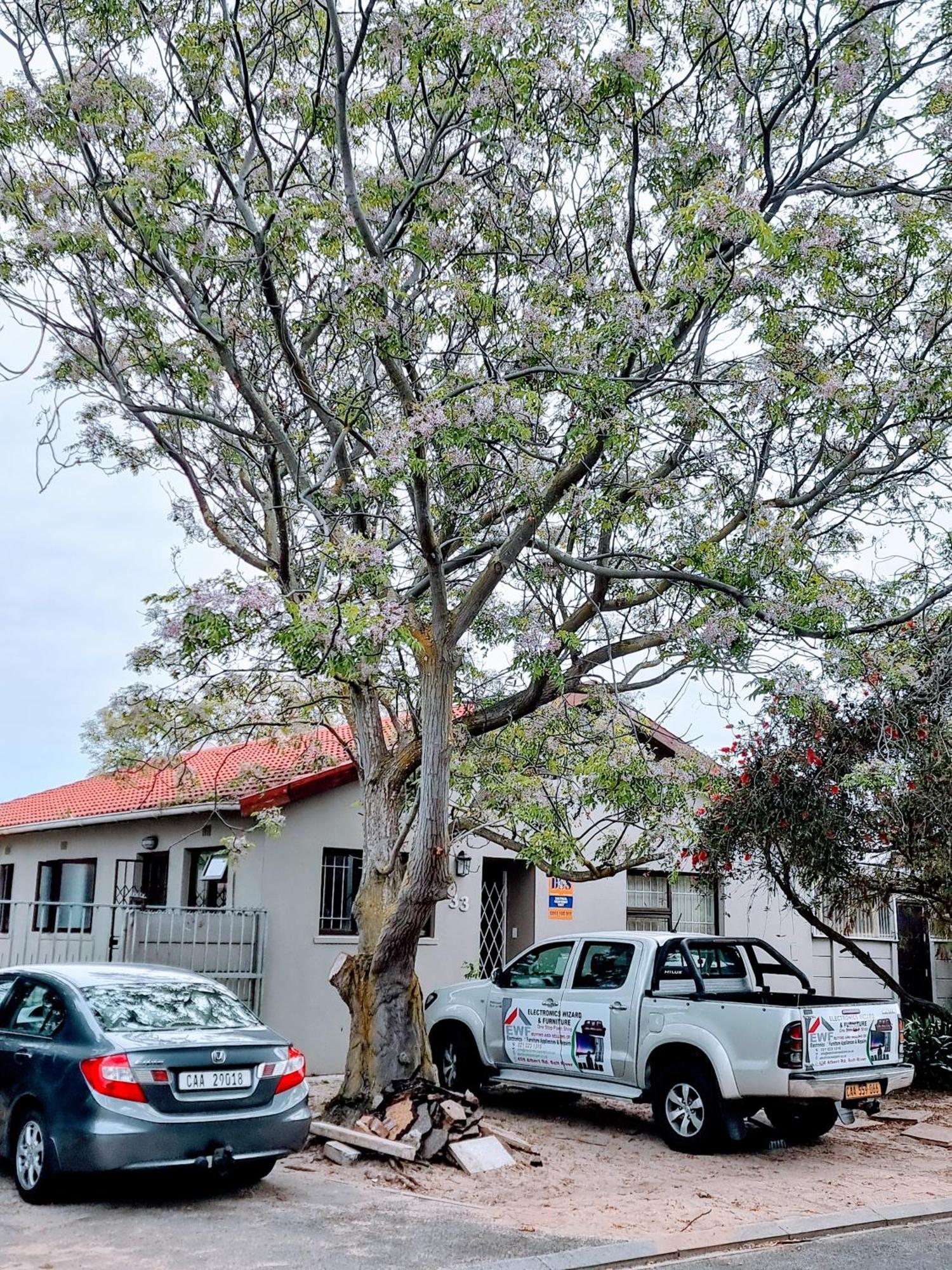 Beautiful In Table View Homestay