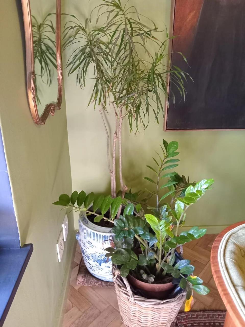 Apartment Green Market House
