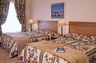 Hotel Constantia House 4*