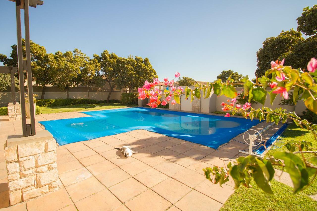 Bougain Villas