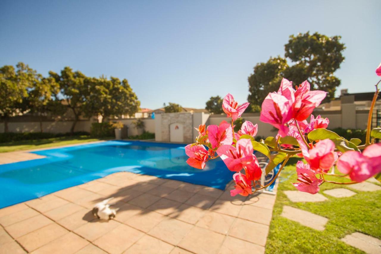 Bougain Villas * Cape Town