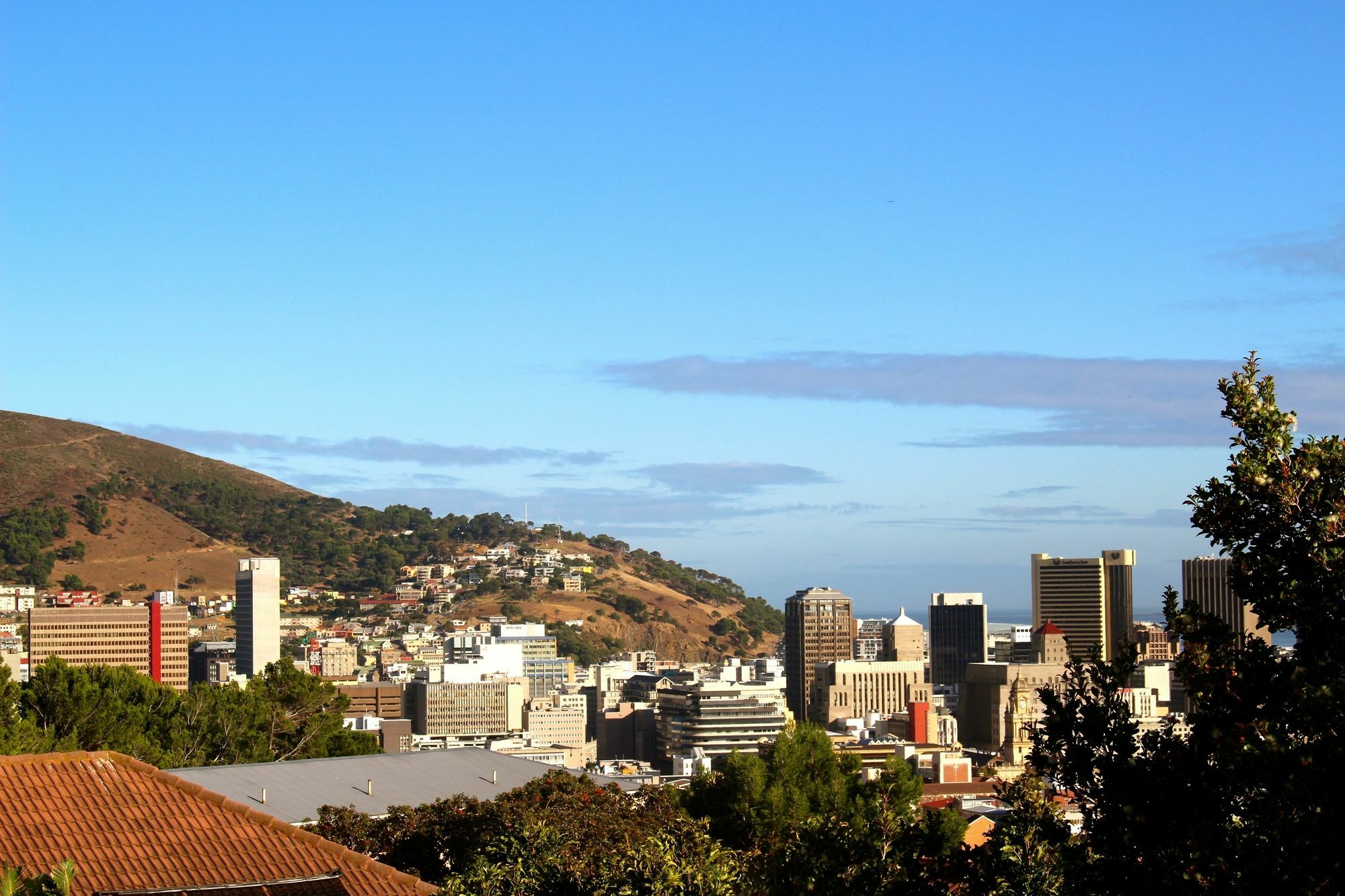 Urban Oasis At Windburg Suites Apartment Cape Town