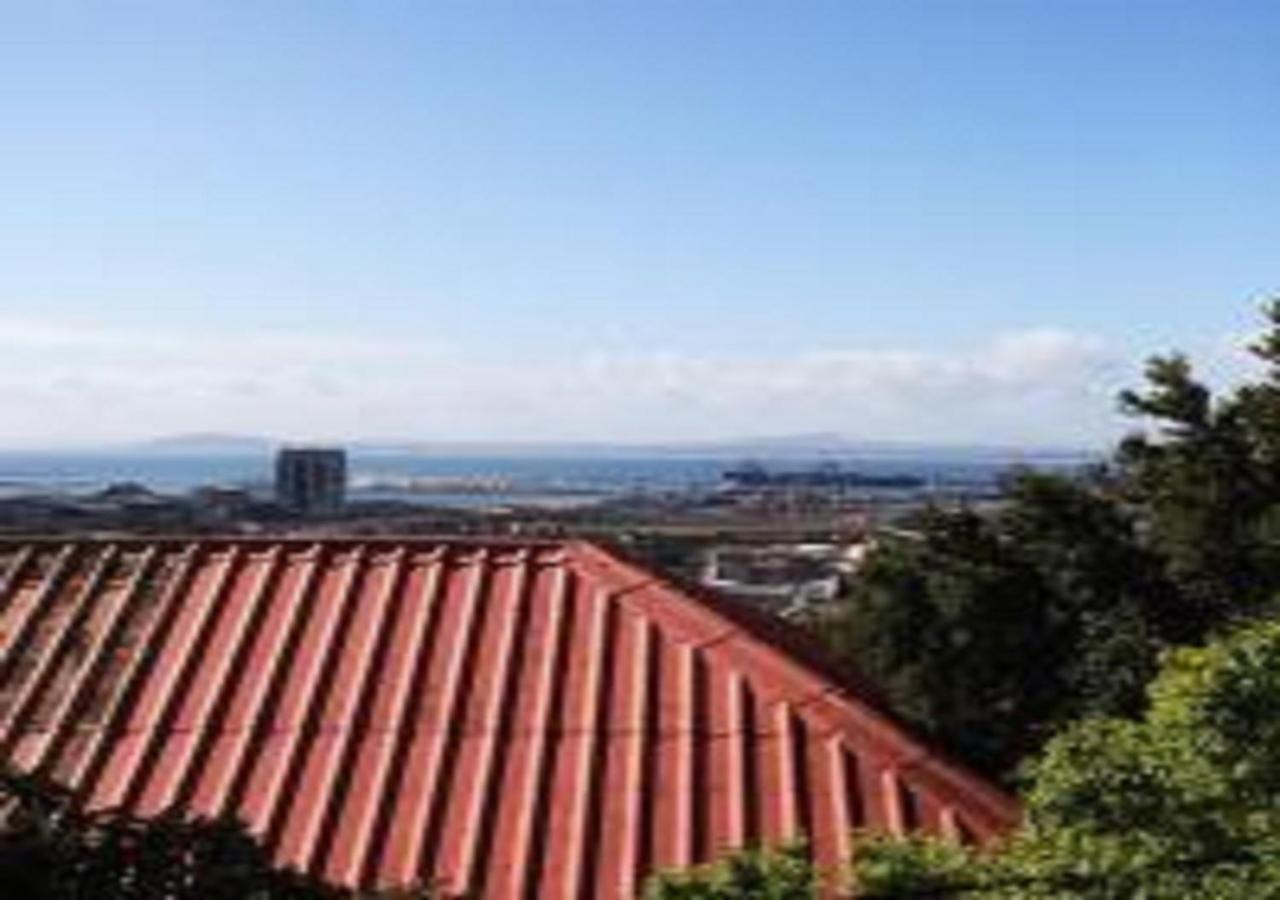 Urban Oasis At Windburg Suites Cape Town
