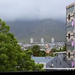 Crazy Zebra