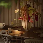 Botany House Boutique Retreat