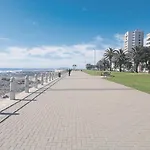 Modern Beachfront Apartment
