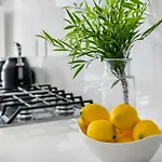 Studio On North By Host Agents