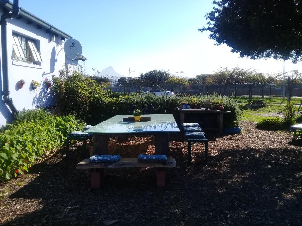 Lighthouse Farm Backpackers * Cape Town