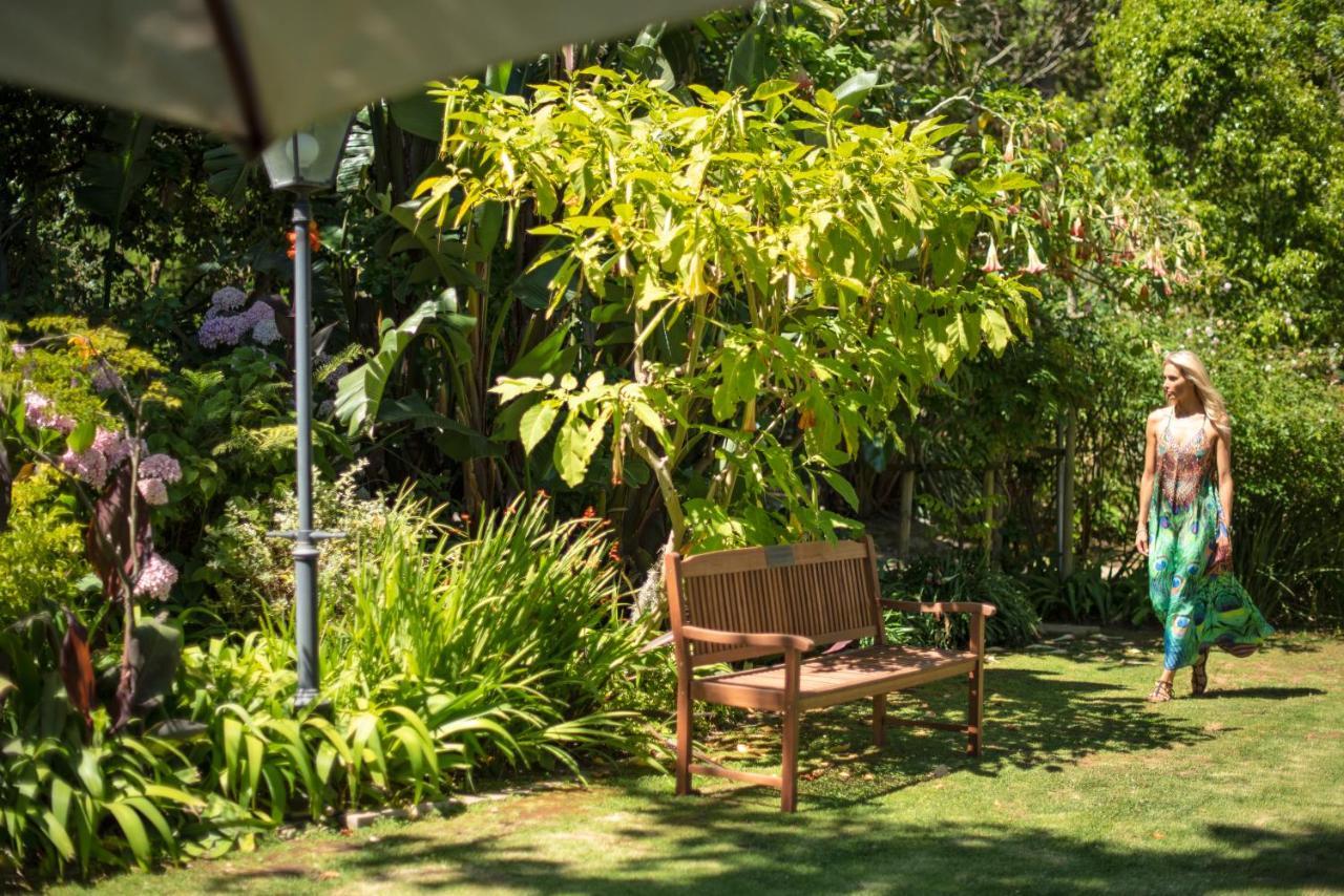 Guest house Last Word Constantia