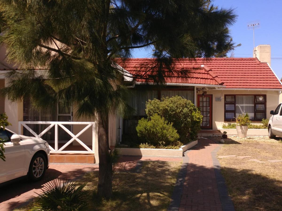 Lily Cape Town