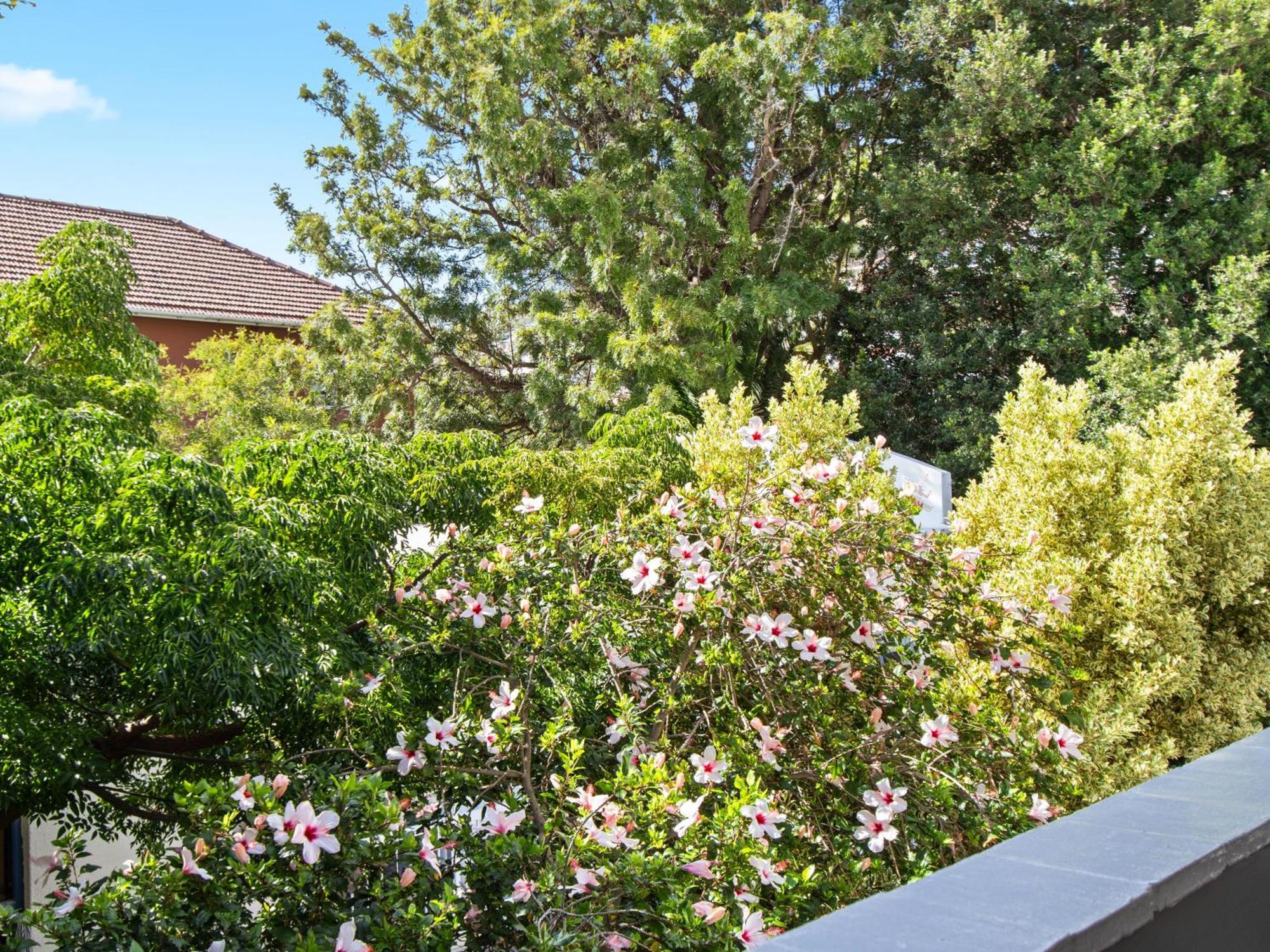 Fairmile Urban Oasis By Host Agents Cape Town