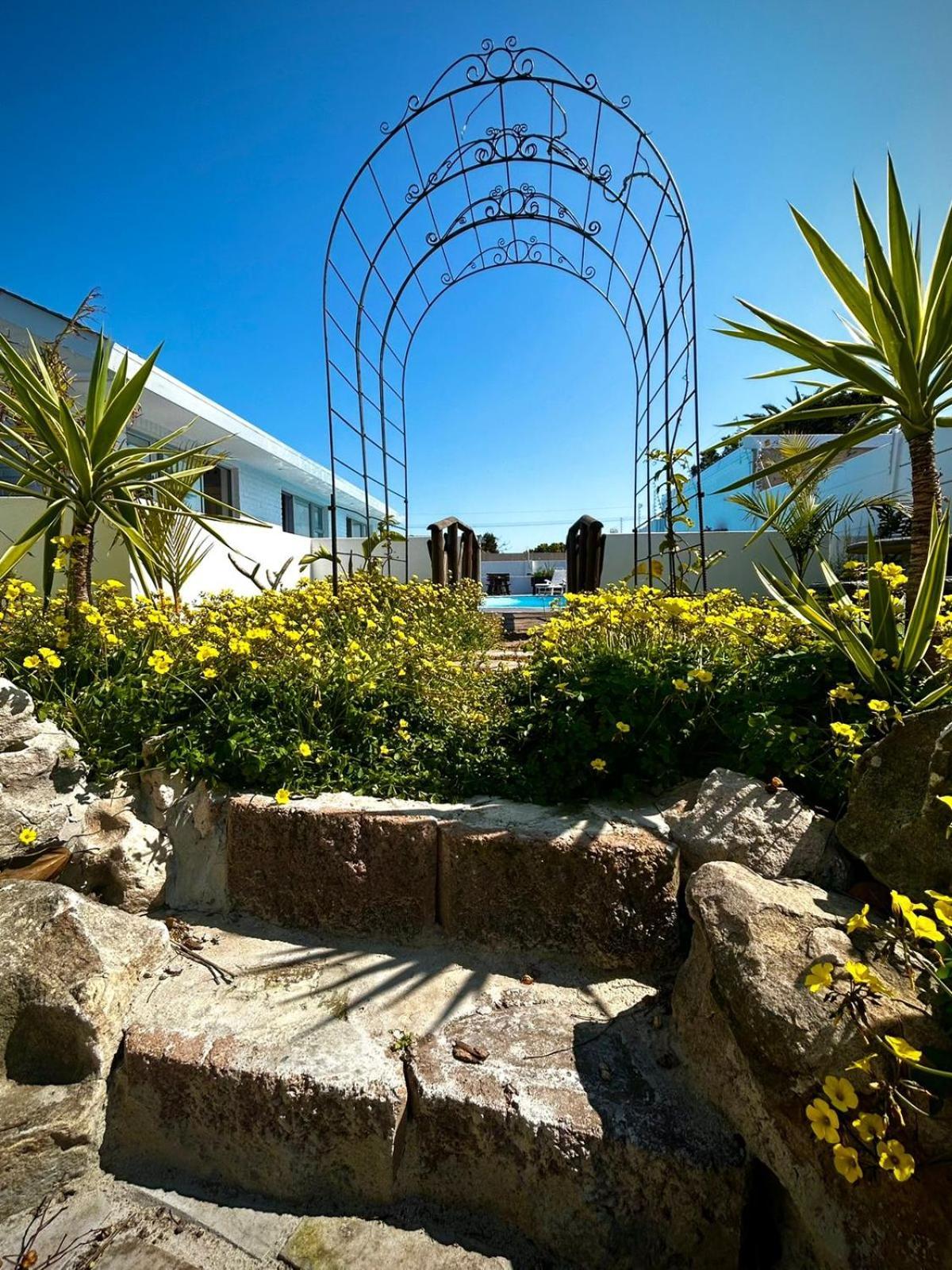 Rosa Luxury With Pool Cape Town
