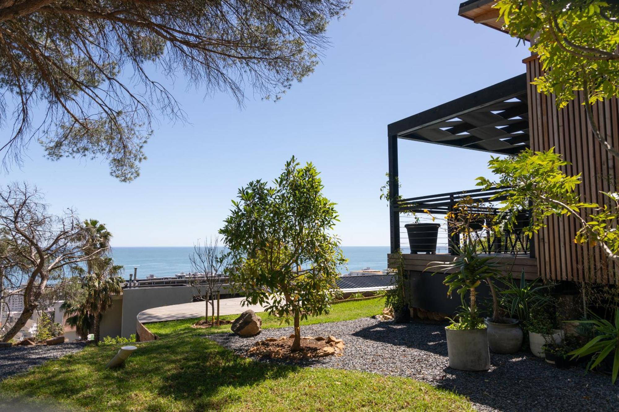 The Trees Of Zar Villa *