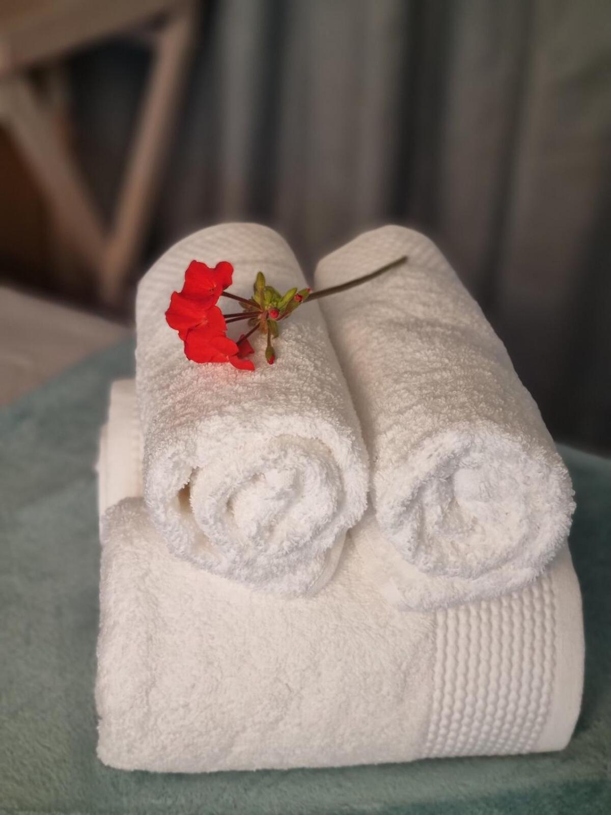 Apartment Durbanville Cpt Pet Friendly, Self-catering *