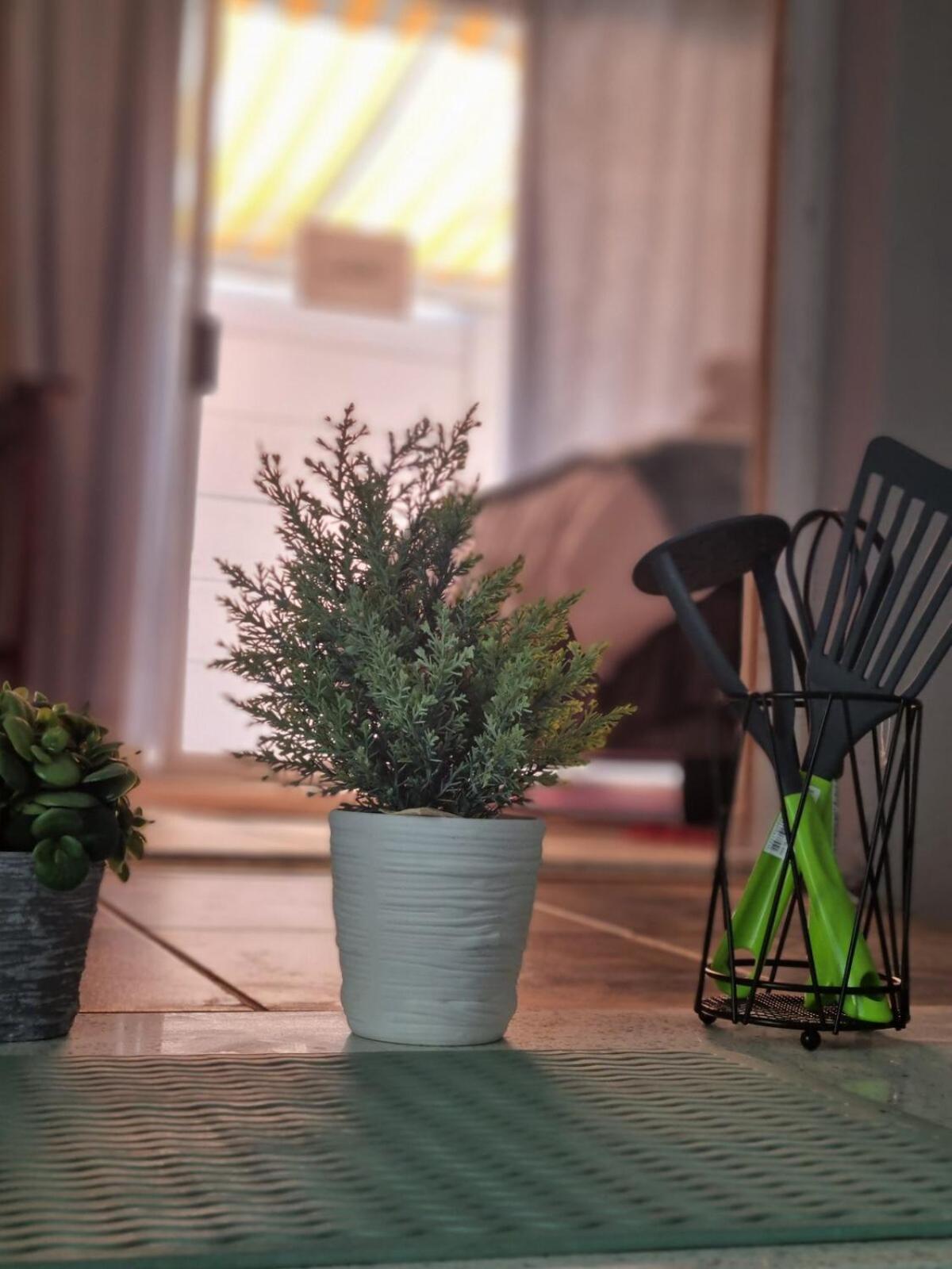 Durbanville Cpt Pet Friendly, Self-catering