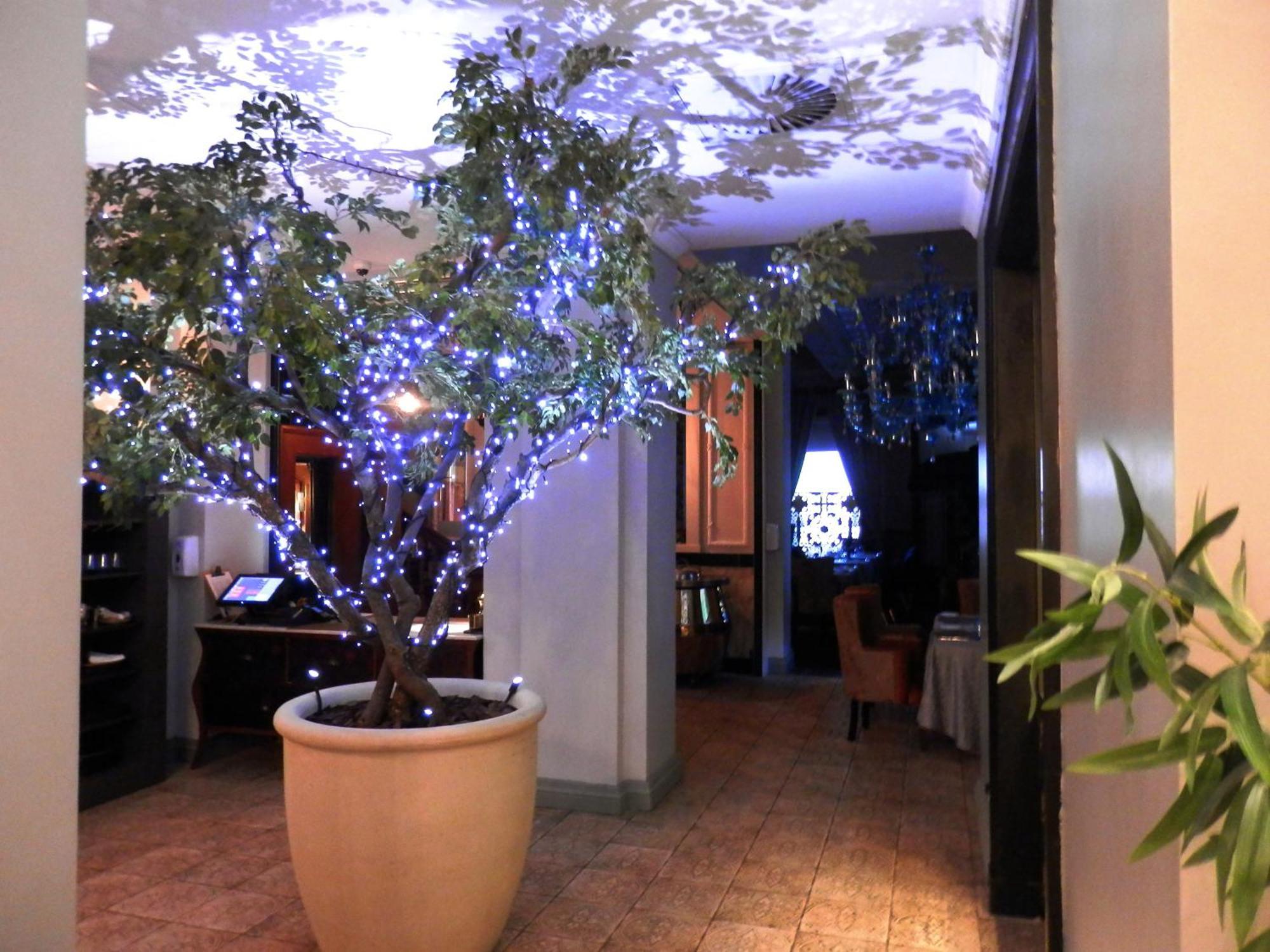 Hotel Taj - Spacious 5 Star With Kitchenette - Privately Rented Cape Town