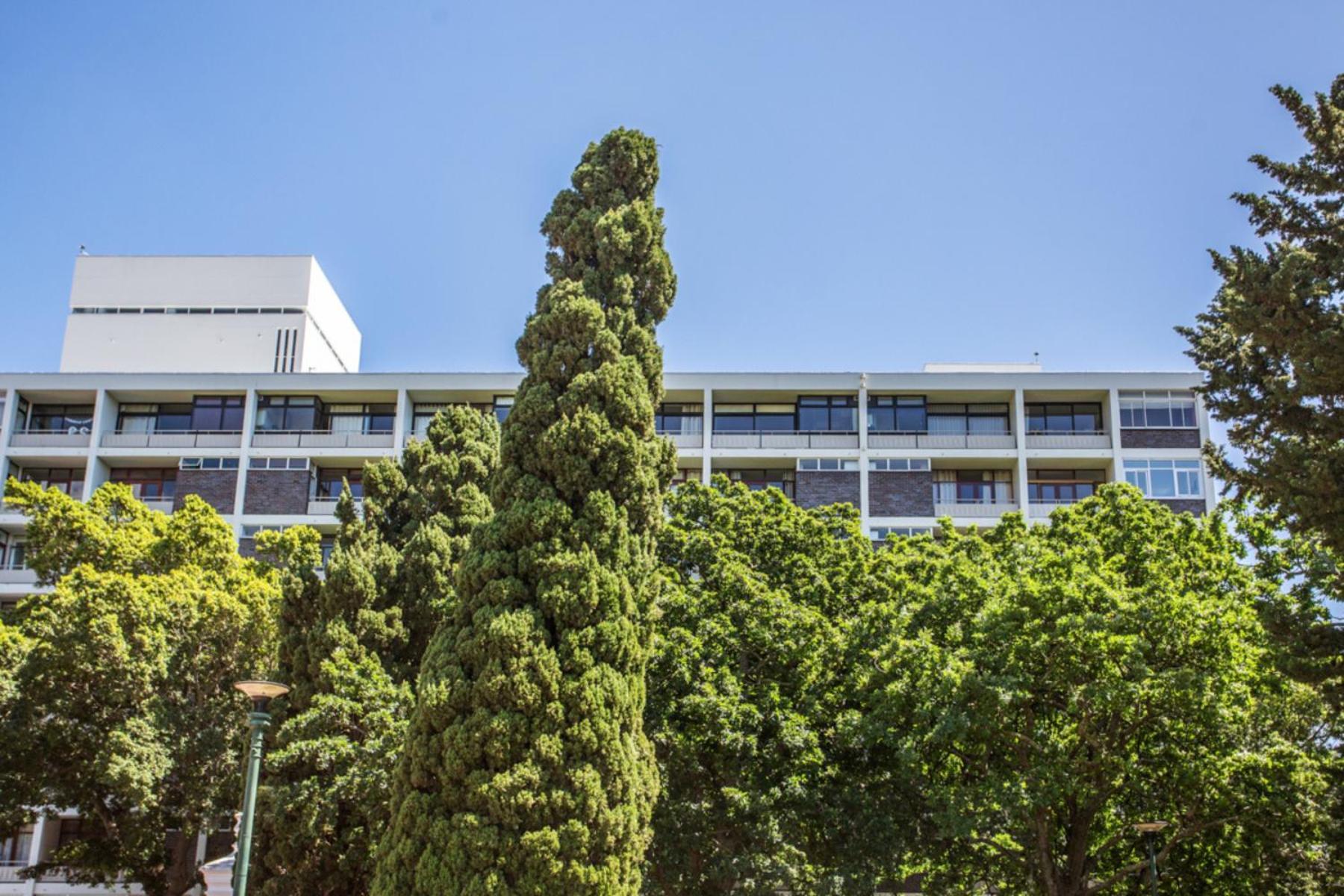 Apartment St Martini Mountain View *