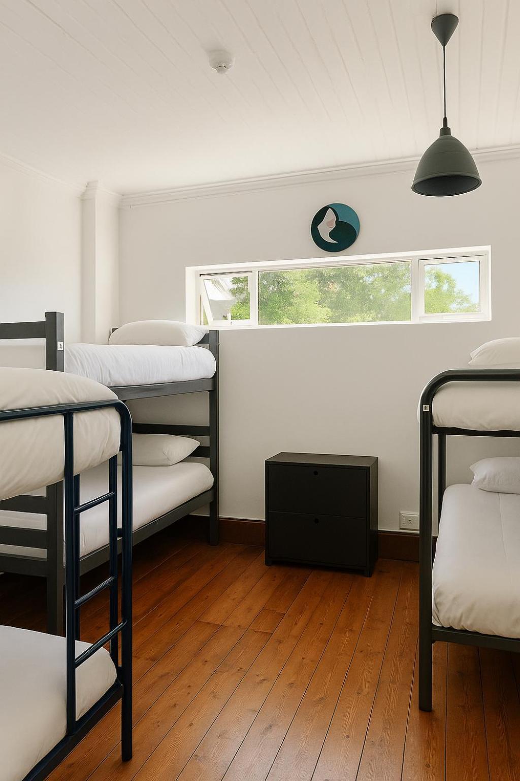 Hostel Elephant Backpackers Cape Town