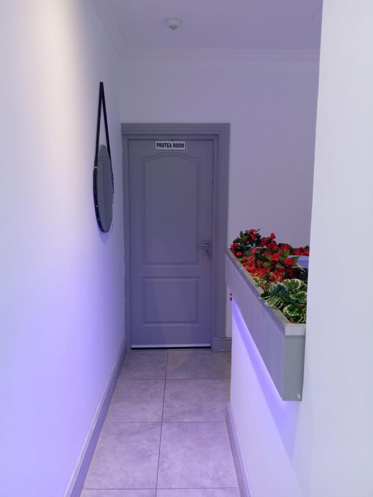 Camdene Apartment