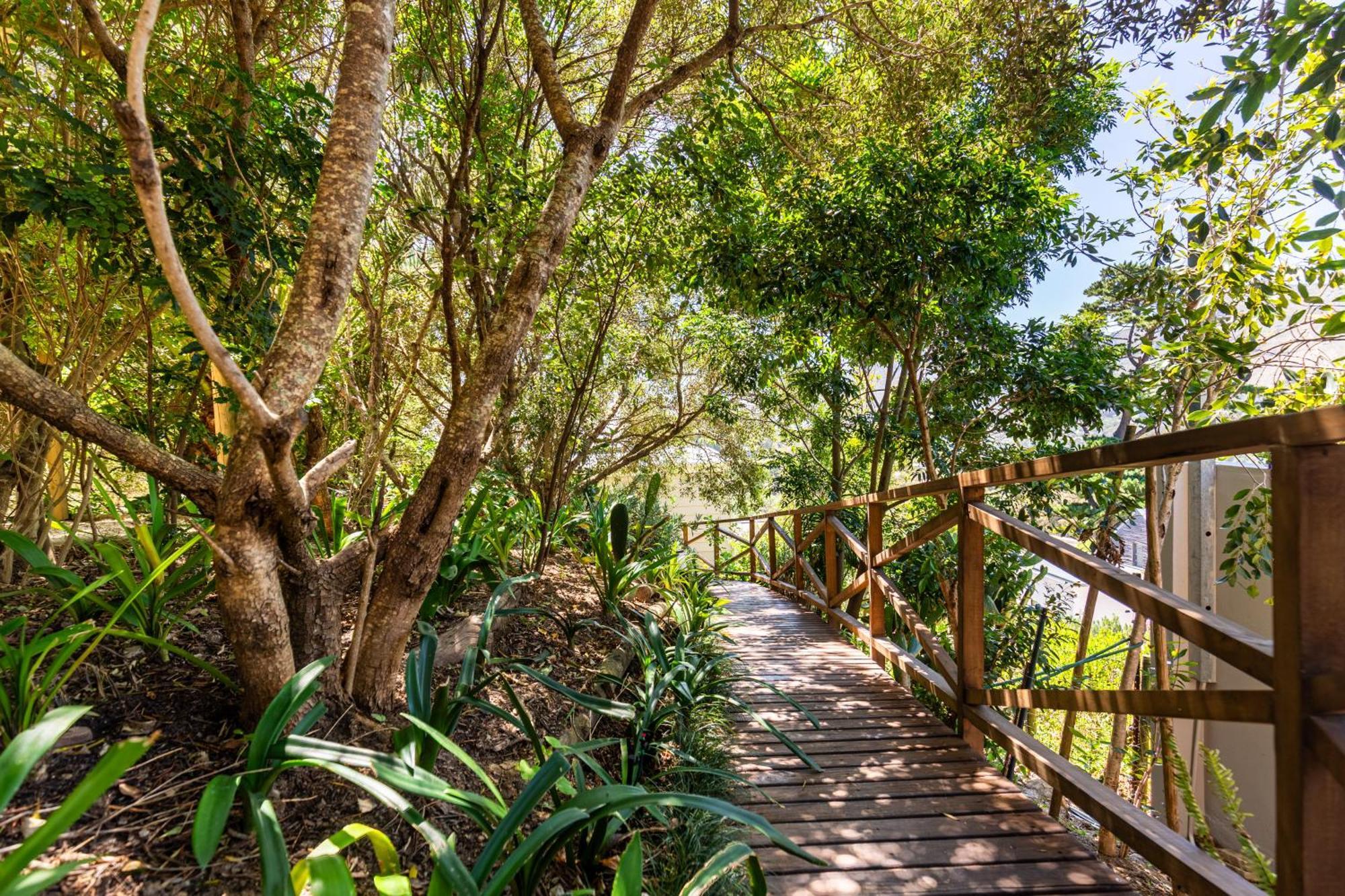Exclusive Tree With Hot Tub - Power Back-up Villa Cape Town