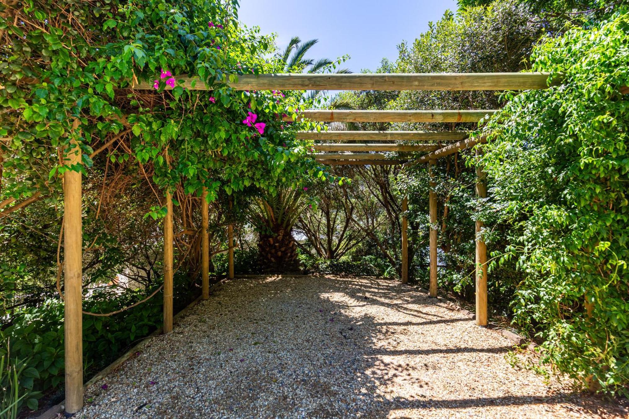 Exclusive Tree With Hot Tub - Power Back-up Cape Town