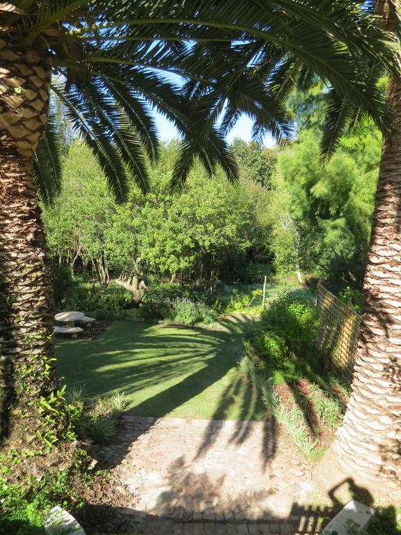 33 Strawberry Lane - And Cape Town