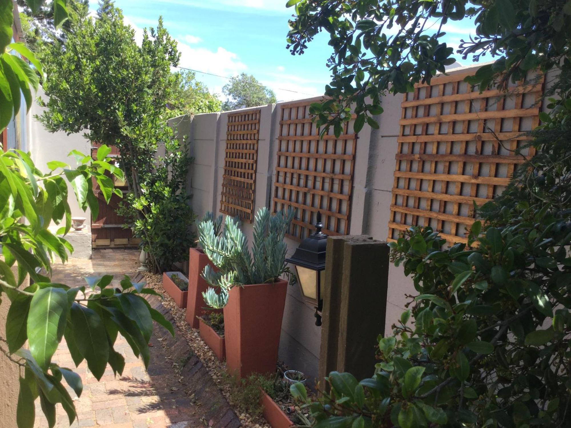 The Buddha Garden