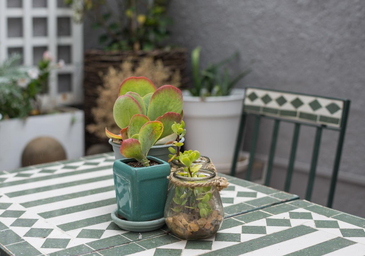 Guest house Wanderlust's Way Cape Town
