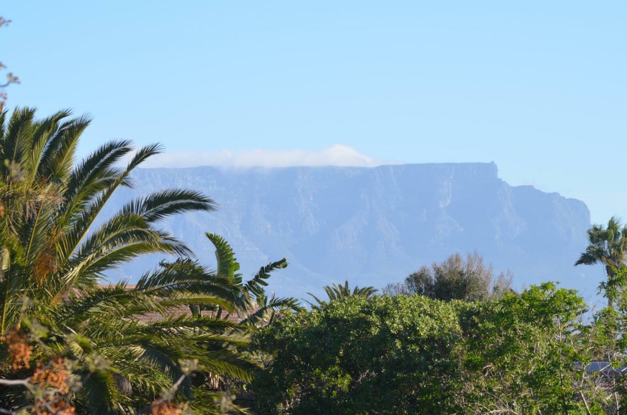 Whale Tale Cape Town
