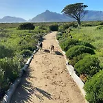 Peak Paradise At Kommetjie
