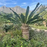 Arum Farm Style House -Stunning Indigenous Garden