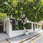 Nicol Street Heritage Cottages
