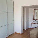 2 Bedroom Louise In Mutual Heights