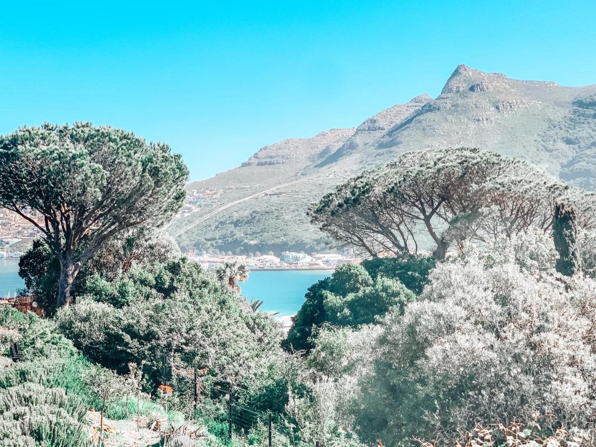 Frogs Hill Cape Town
