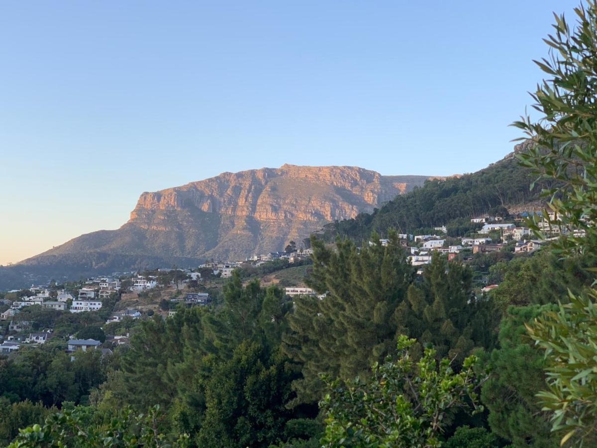 Frogs Hill Cape Town