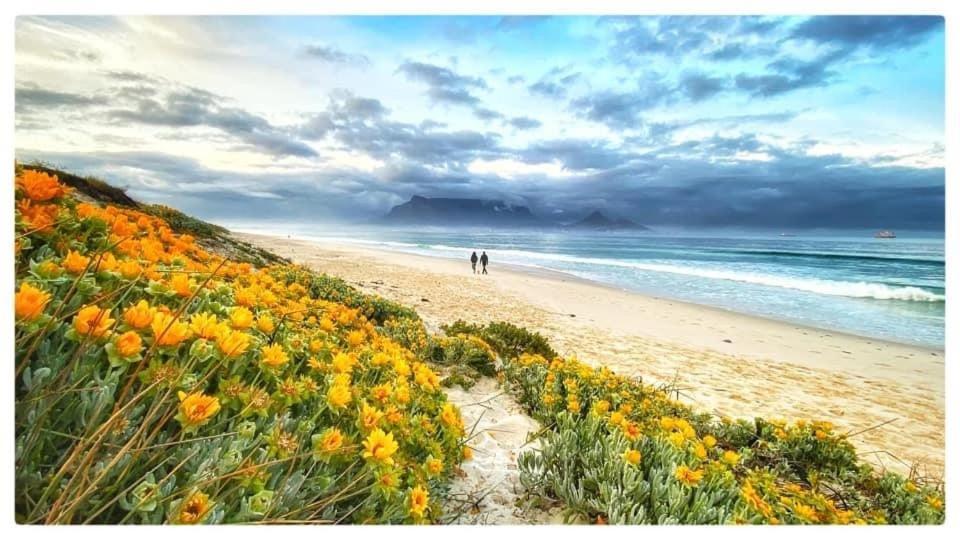 Infinity Self Catering Beachfront 302 Cape Town