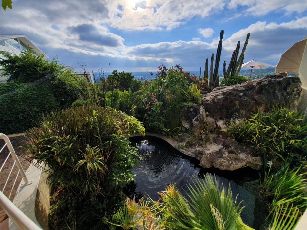 Panorama Guest house