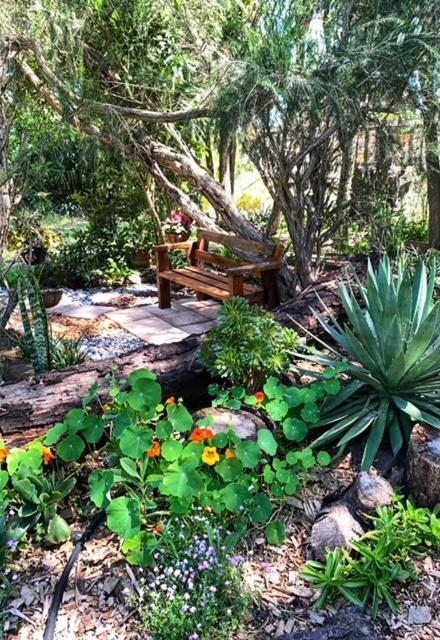 Bed & Breakfast The Vineyard South Cape Town