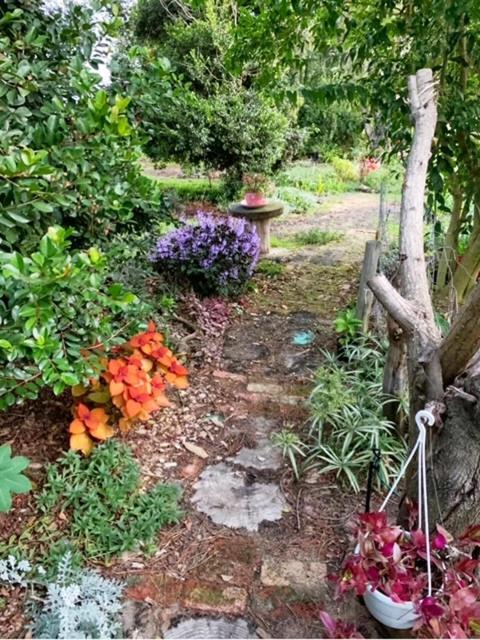 Bed & Breakfast The Vineyard South *