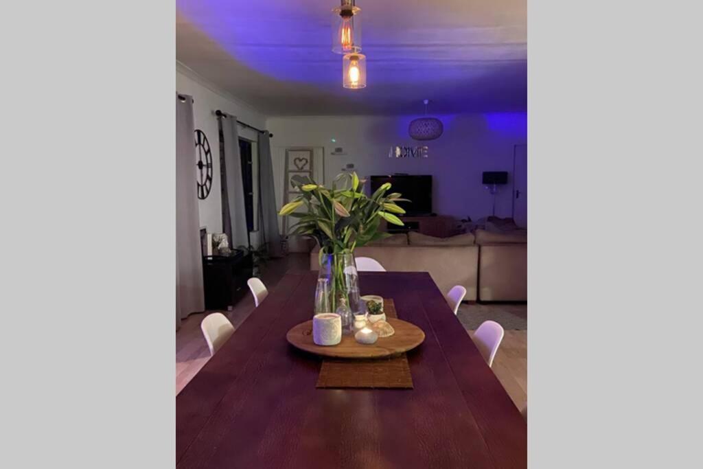 Sunny Open Living Family In The Winelands Holiday home