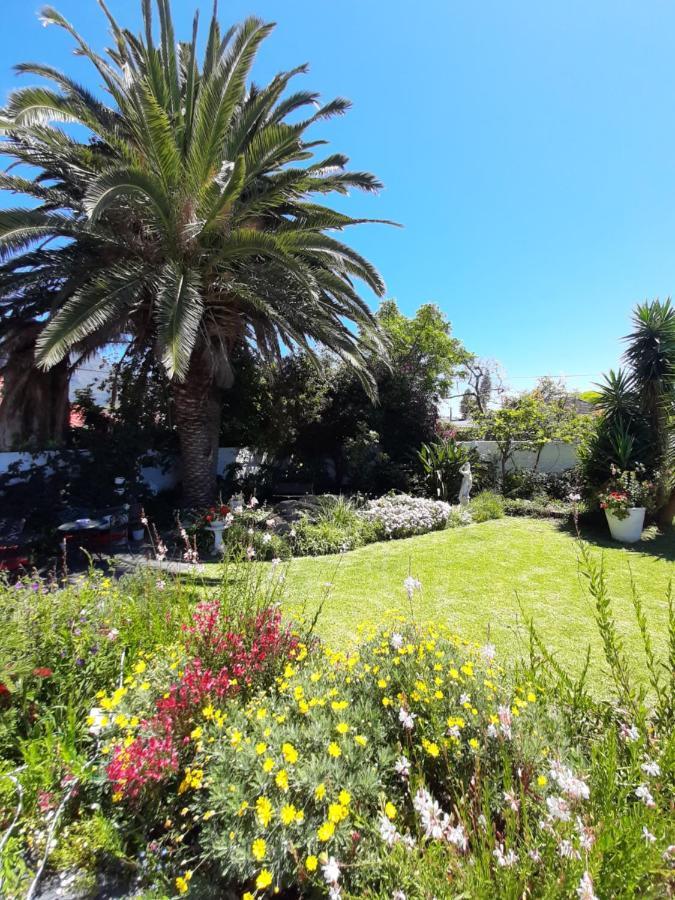 Canberra On Greenwood Homestay Cape Town
